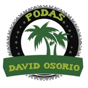 logo osorio